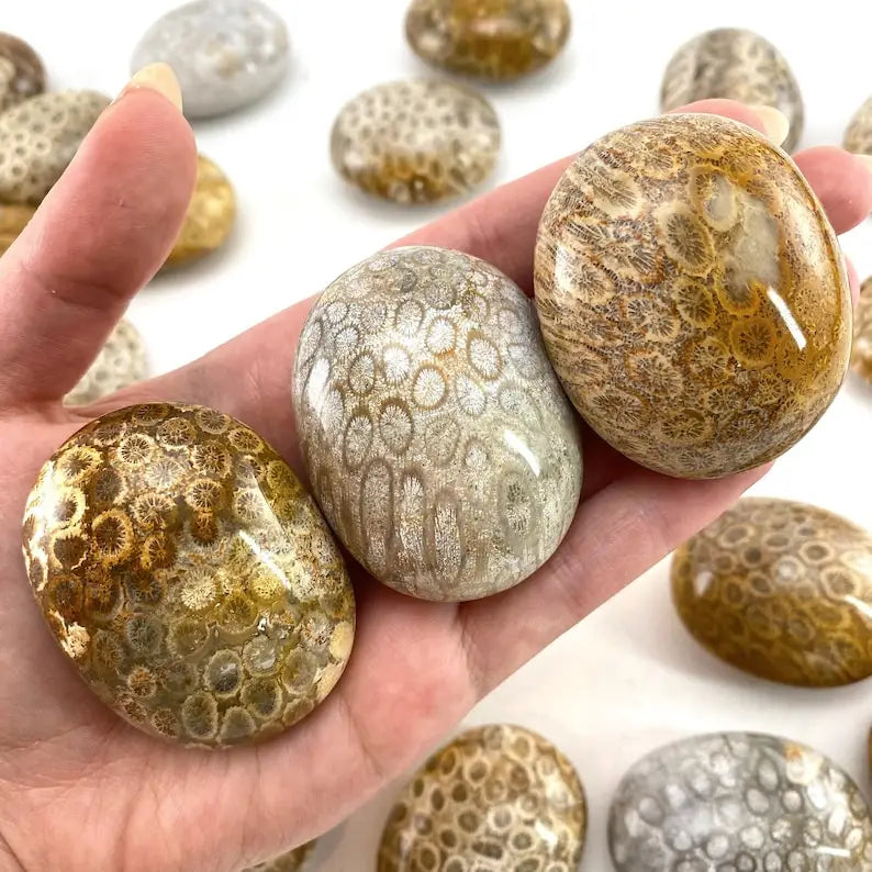Natural Coral Jade Crystal Palm Stone Chakra Reiki Meditation Coral Palm Stone Polished Worry Stone