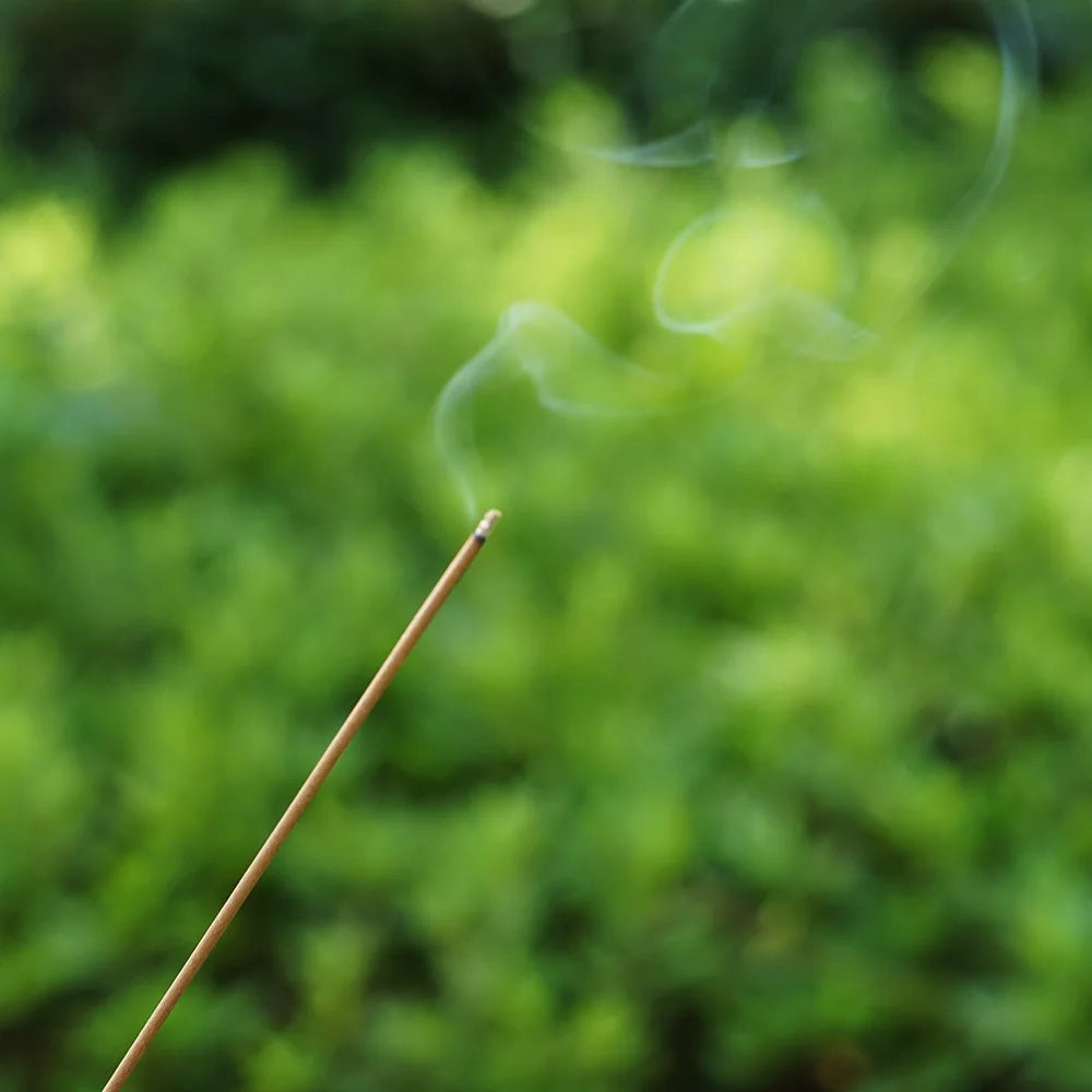 Premium Agarwood Incense Sticks - 10g Pack, 21cm Long - Natural Floral & Fruity Aroma for Relaxation and Meditation
