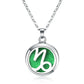 New 12 Constellations Aroma Necklace Stainless Steel Magnetic Pendant Aromatherapy Essential Oil Diffuser Perfume Locket Jewelry