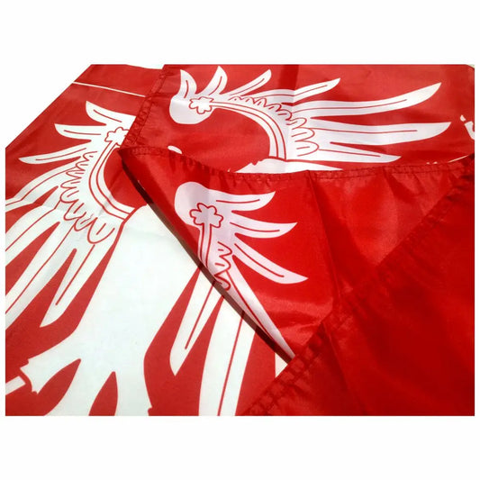 Sikh Nishan Sahib 1799 Empire Flag, 60x90cm, 3x5ft, 21x14cm, 90x150cm, 100D Polyester, Punjab