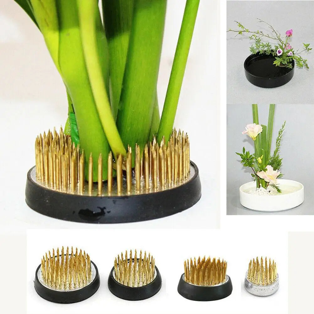 Round Ikebana Flower Frog With Gasket Art Fixed Arranging Tool Small Ikebana Kenzan Pin Frog Arrangements For Your Pot Lid Vase
