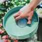 Round Ikebana Kenzan Flower Frog Suction Cup Plastic Arranging Tool Art Fixed Rubber Base Holder Floral Decor Pot Vase