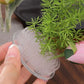 Round Ikebana Stem Holder Clear Flower Suction Cup Holder Flower Arranging Fixed Base Pot Vase Floral Rubber Bracket Home Decor