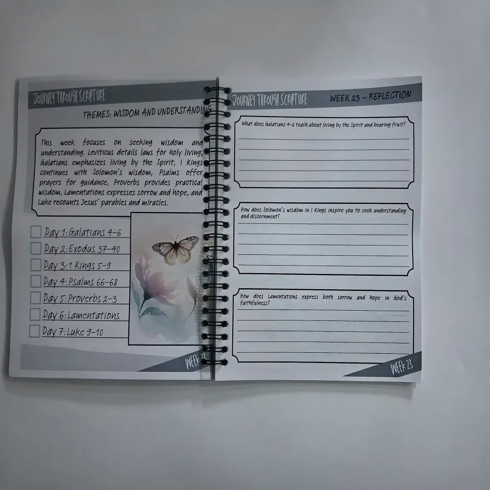 Understand The Bible In One Year Reading Plan For Busy Women A Simple,Structured Guide To Reading The Bible Handbook