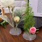 Round Ikebana Stem Holder Clear Flower Suction Cup Holder Flower Arranging Fixed Base Pot Vase Floral Rubber Bracket Home Decor