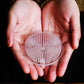 Round Ikebana Kenzan Flower Frog Suction Cup Plastic Arranging Tool Art Fixed Rubber Base Holder Floral Decor Pot Vase