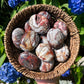 1pc Red Mexican Agate Palm Stone,  Stunning Crystal from Mexico, Worry Stone Gift. Polished Palm Stone Makes a Lovely Present