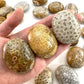 Natural Coral Jade Crystal Palm Stone Chakra Reiki Meditation Coral Palm Stone Polished Worry Stone