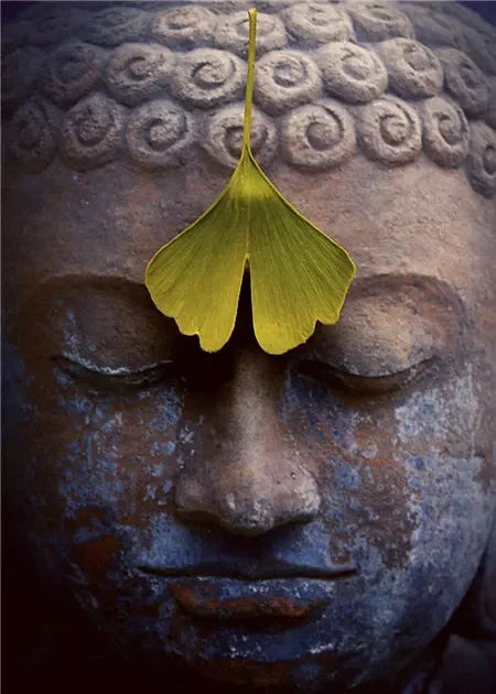 Indian Buddha Statue Meditation Chakra Mandala Print Art Canvas Poster for Living Room Decoration Home Wall Decor Picture
