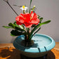 Round Ikebana Flower Frog With Gasket Art Fixed Arranging Tool Small Ikebana Kenzan Pin Frog Arrangements For Your Pot Lid Vase