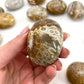 Natural Coral Jade Crystal Palm Stone Chakra Reiki Meditation Coral Palm Stone Polished Worry Stone