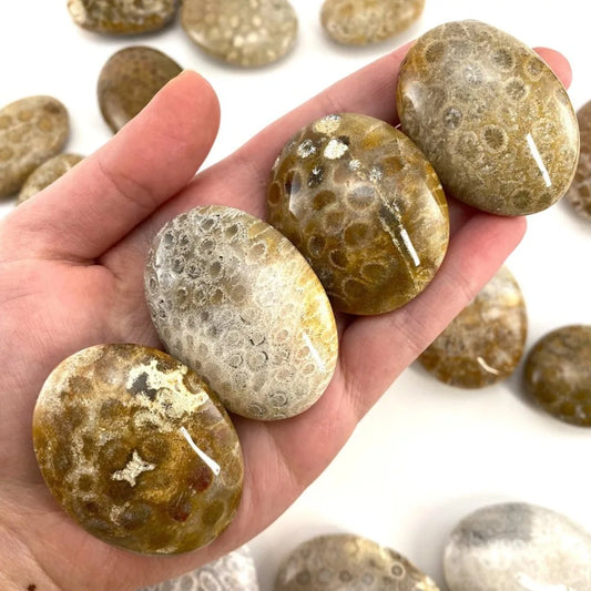 Natural Coral Jade Crystal Palm Stone Chakra Reiki Meditation Coral Palm Stone Polished Worry Stone