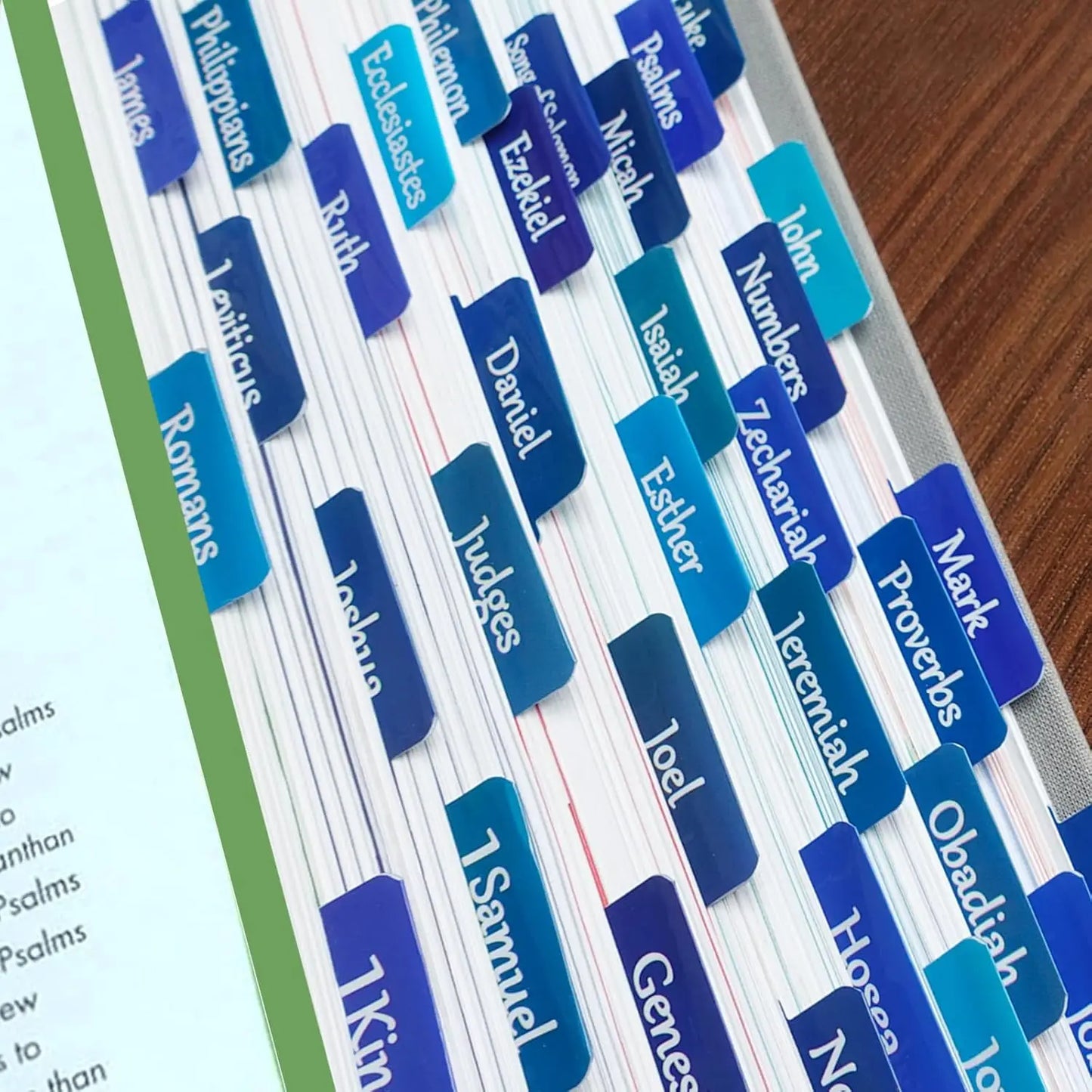 Bible Tabs for Women and Men Easy to Remove & Read Bible Book Tabs for Study Bible Index Tabs for Old and New Testament Bible