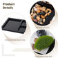 Mini Zen Garden Authentic Zen Garden Kit Zen Garden Accessories Kit Home Office Desktop Meditation Decor Unique Relaxation Gifts