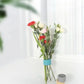 2Pcs Spiral Ikebana Stem Holder for Flowers -Floral Grid for Vase - Bloom Shaper- Flower Frogs for Arrangements Vase