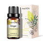 PHATOIL Natural Plant Essential Oil 10ml Eucalyptus Lavender Bergamot Vanilla Peppermint 1PCS Aroma Essential Oils For Diffuser