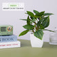 Artificial Plants Decoration Potted Bonsai Small Tree Pot Fake Plant Potted zen garden Ornaments Table Home Room Decoration