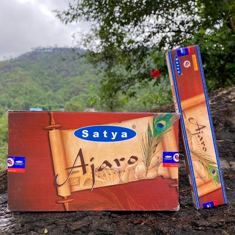 India Stick Incenses White Sage Sandalwood Natural Household Indoor Clean Air Indian Handmade Incense Sticks NAG Champa Satya