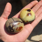 1pc Septaria Palm Stone Worry Stone Beautiful Orca Agate Crystal Crystal Gift Crystal Gift, Pick Your Septaria Palm
