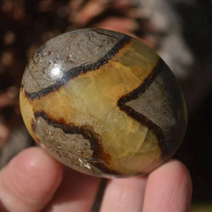 1pc Septaria Palm Stone Worry Stone Beautiful Orca Agate Crystal Crystal Gift Crystal Gift, Pick Your Septaria Palm