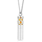Twelve Constellations Aromatherapy Essential Oil Pendant Lockets Perfume Storage Diffuser Necklace 316L Stainless Steel Jewelry