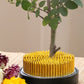 Japanese Ikebana Kenzan Needle Flower Base Brass Holder Spiky Frog Fixed Tools Floral Arrangement Copper Pin