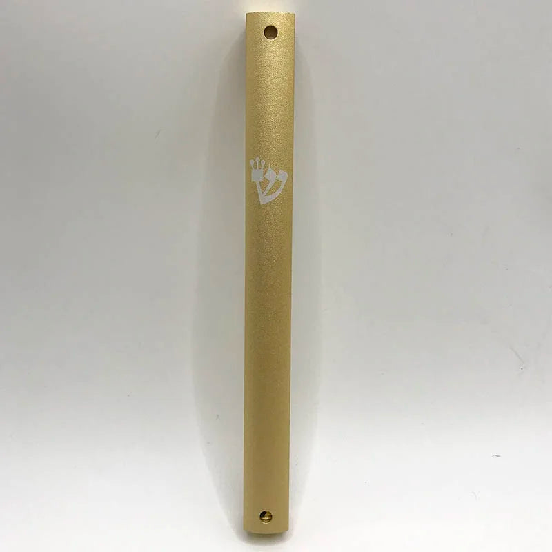 Jewish Aluminium Mezuzah Case Home decor Weatherproof Door Mezuza Judaica Art for Home Blessing 17cm(6.7 inch)