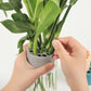 2Pcs Spiral Ikebana Stem Holder for Flowers -Floral Grid for Vase - Bloom Shaper- Flower Frogs for Arrangements Vase