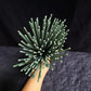 Bulk Sale 22cm/8.66inch White Sage Incense Sticks Clean and Low Powder for Yaga Meditation Hotel Home Bamboo Stick Incense