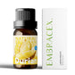 25 Type Fruit Essential Oils Fruit Perfumes Fragrance Oil for Diffuser Candles Making -Strawberry Lemon Peach Banana Mango