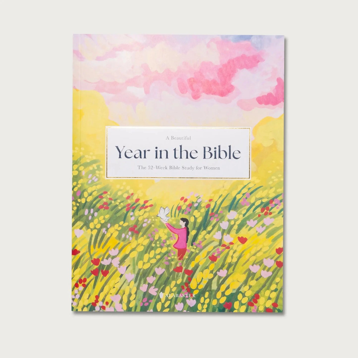A Wonderful Year in the Bible: A 52-Week Bible Study for Women—Daily Devotional Journal (Paperback)