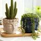 Creative Buddha Statue Flowerpot Green Potted Plants Container Home Courtyard Garden Decor Resin Handicrafts Ornament Gift
