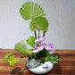 Ceramic Vase Japanese Style Ikebana Kenzan Zen Tea Ceremony Tea Table Flower Arrangement Vase Floral Art Fixed Arranging Tool