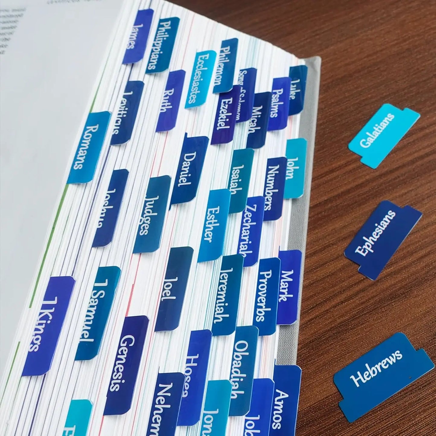 Bible Tabs for Women and Men Easy to Remove & Read Bible Book Tabs for Study Bible Index Tabs for Old and New Testament Bible