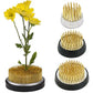 Round Ikebana Flower Frog With Gasket Art Fixed Arranging Tool Small Ikebana Kenzan Pin Frog Arrangements For Your Pot Lid Vase
