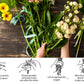New Spiral Ikebana Stem Holder, Floral Grid for Vase Elegant Centerpiece Design Company Party Flower Arrangement Tool