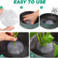 Round Ikebana Stem Holder Clear Flower Suction Cup Holder Flower Arranging Fixed Base Pot Vase Floral Rubber Bracket Home Decor