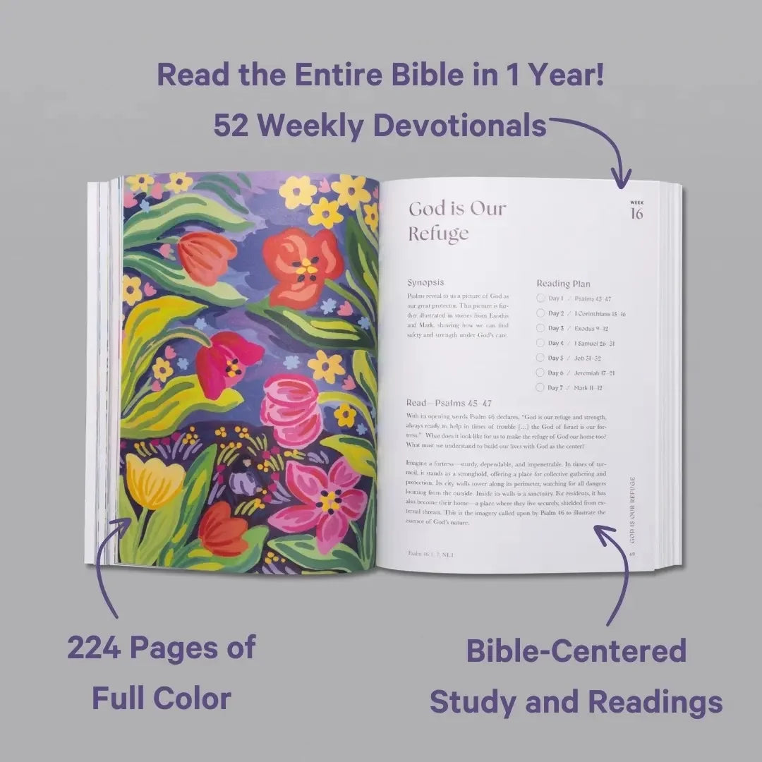 A Wonderful Year in the Bible: A 52-Week Bible Study for Women—Daily Devotional Journal (Paperback)