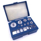 17Pcs Grams Calibration Weight Set M1 M2 10mg-100g Precision Digital Scale Weights Set Jewelry Scale Balance Weighting Tools