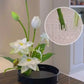 Round Ikebana Stem Holder Clear Flower Suction Cup Holder Flower Arranging Fixed Base Pot Vase Floral Rubber Bracket Home Decor