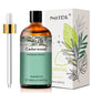 PHATOIL 100ml Natural Essential Oil For Skin Aromatherapy Lemongrass Eucalyptus Lavender  Peppermint Fragrance Essential Oils