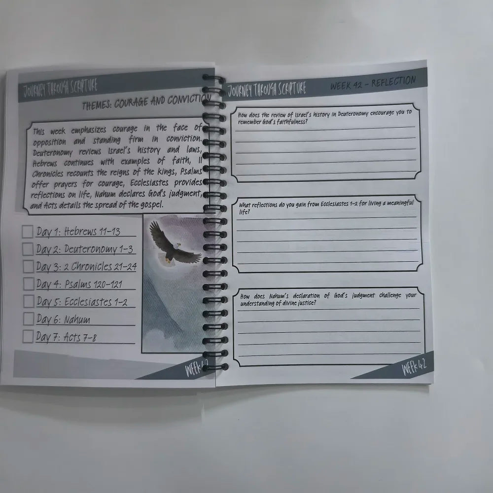 Understand The Bible In One Year Reading Plan For Busy Women A Simple,Structured Guide To Reading The Bible Handbook