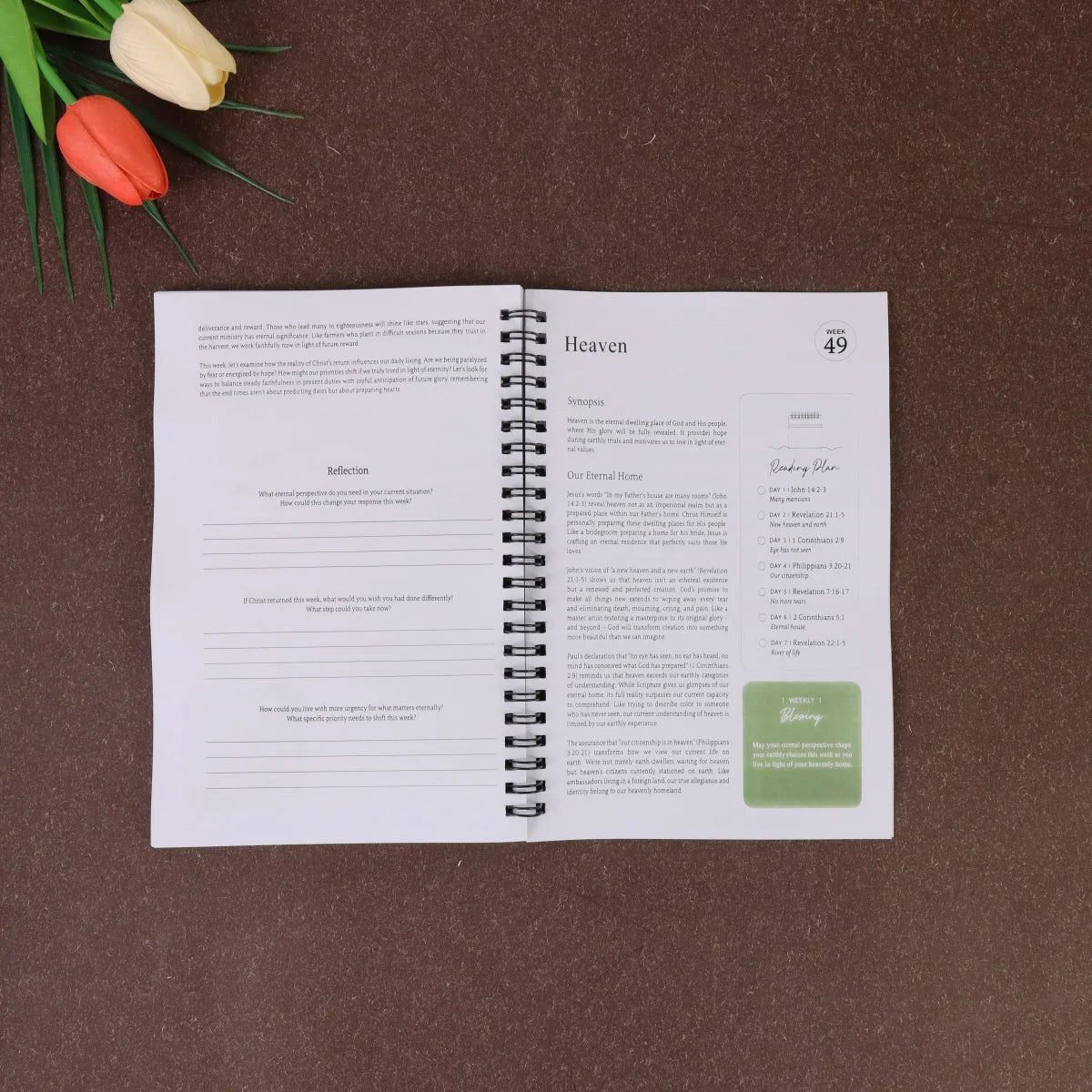 "Guide to the Bible Study Plan,  Featuring a 52-week Cycle for Registration, Reading, Prayer, and Exploring the Power of the Bib