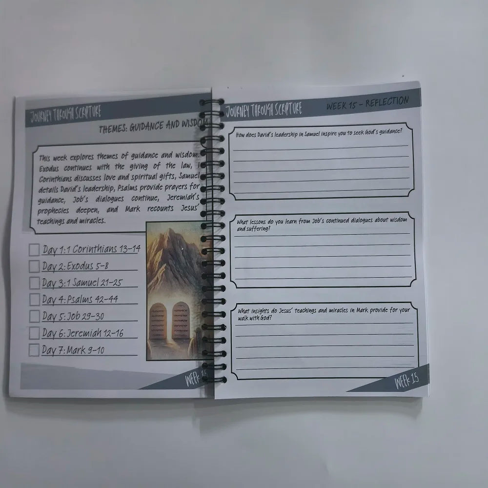 Understand The Bible In One Year Reading Plan For Busy Women A Simple,Structured Guide To Reading The Bible Handbook