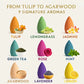 9Pack Colorful Aromatherapy Incense Sticks for Home Indoor Long Lasting Fragrance Smoke Falls for Viewing Relaxation