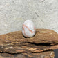 EG1-7 Mini Natural Stone Egg, Small Polished Egg Shaped Stone for Meditation Stress Relief Fidget Palm Desk Decor Gift