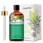 PHATOIL 100ml Natural Essential Oil For Skin Aromatherapy Lemongrass Eucalyptus Lavender  Peppermint Fragrance Essential Oils