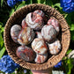 1pc Red Mexican Agate Palm Stone,  Stunning Crystal from Mexico, Worry Stone Gift. Polished Palm Stone Makes a Lovely Present