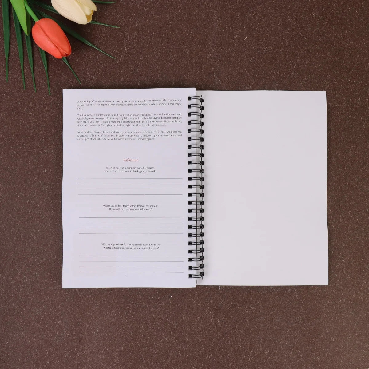 "Guide to the Bible Study Plan,  Featuring a 52-week Cycle for Registration, Reading, Prayer, and Exploring the Power of the Bib