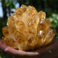 650g Natural Raw Citrine Quartz Stone Crystal Cluster Healing Yellow Stones Mineral Specimen Home Decoration 1pcs